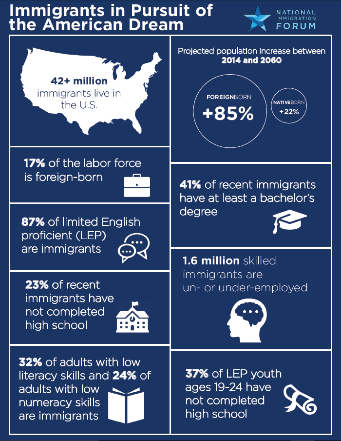 Immigrants in Pursuit of the American Dream2